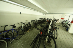 E553B377-414B-49E4-A726-E73848D097F1_1_105_c